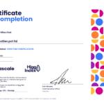 SAAM Higg Verification_page-0001